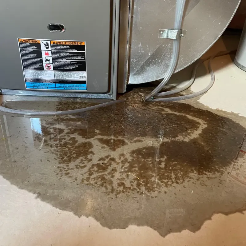 Appliance Leak Cleanup in Stowell, TX